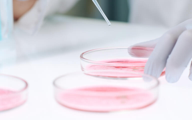 Advancing Obesity Therapeutics: From Single-Target to Multi-Target Drug Development